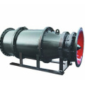 Vertical Axial or Mixed Flow Pump for Sewage Pump